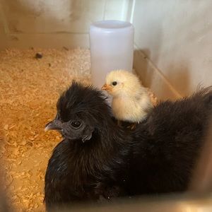 Birthday Surprise for Haley 🥰💜